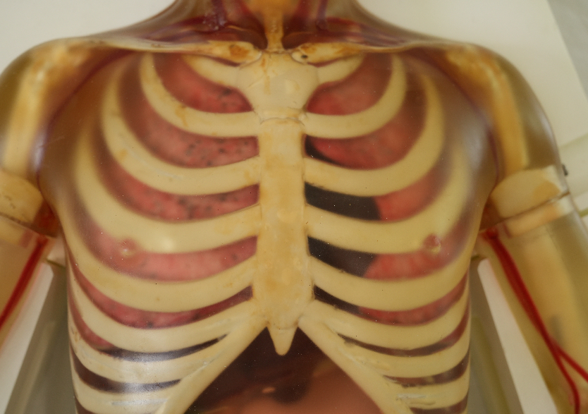 綜合超聲檢查平臺(tái)3.0